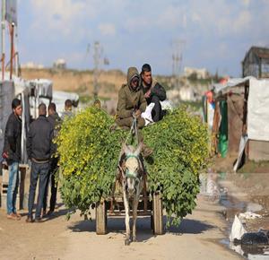 עזה: עקורים במחנה נוסייראת נאבקים להמשיך בחייהם בצל תנאי מחיה קשים ומחסור חריף בצרכים בסיסיים.