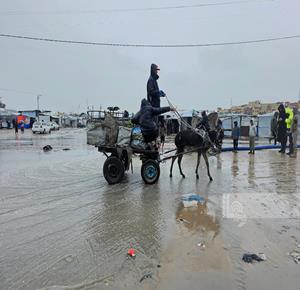 עזה – העקורים סובלים מתנאי מחיה קשים, שהולכים ומחמירים בשל הקור העז והגשמים הכבדים שהציפו את אוהליהם, בח'אן יונס שבדרום רצועת עזה