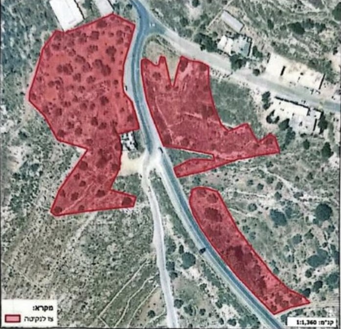 כוחות הכיבוש הורו לעקור עצים מאדמות ראס כרכר וכפר נעמה