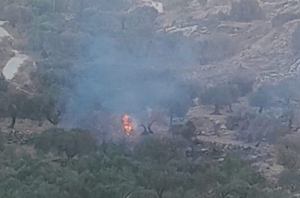 מתנחלים הציתו שדות חקלאיים ליד רמאללה, חיכוך עם תושבים