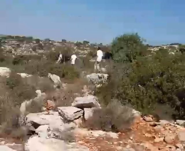 תקיפה של רועה על ידי מתנחלים בצפון מערב סלפית