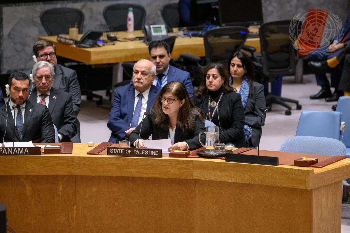 שאהין במועצת הביטחון: לפלסטין הסמכות החוקית והפוליטית על עזה וכל השטחים הכבושים מאז 1967