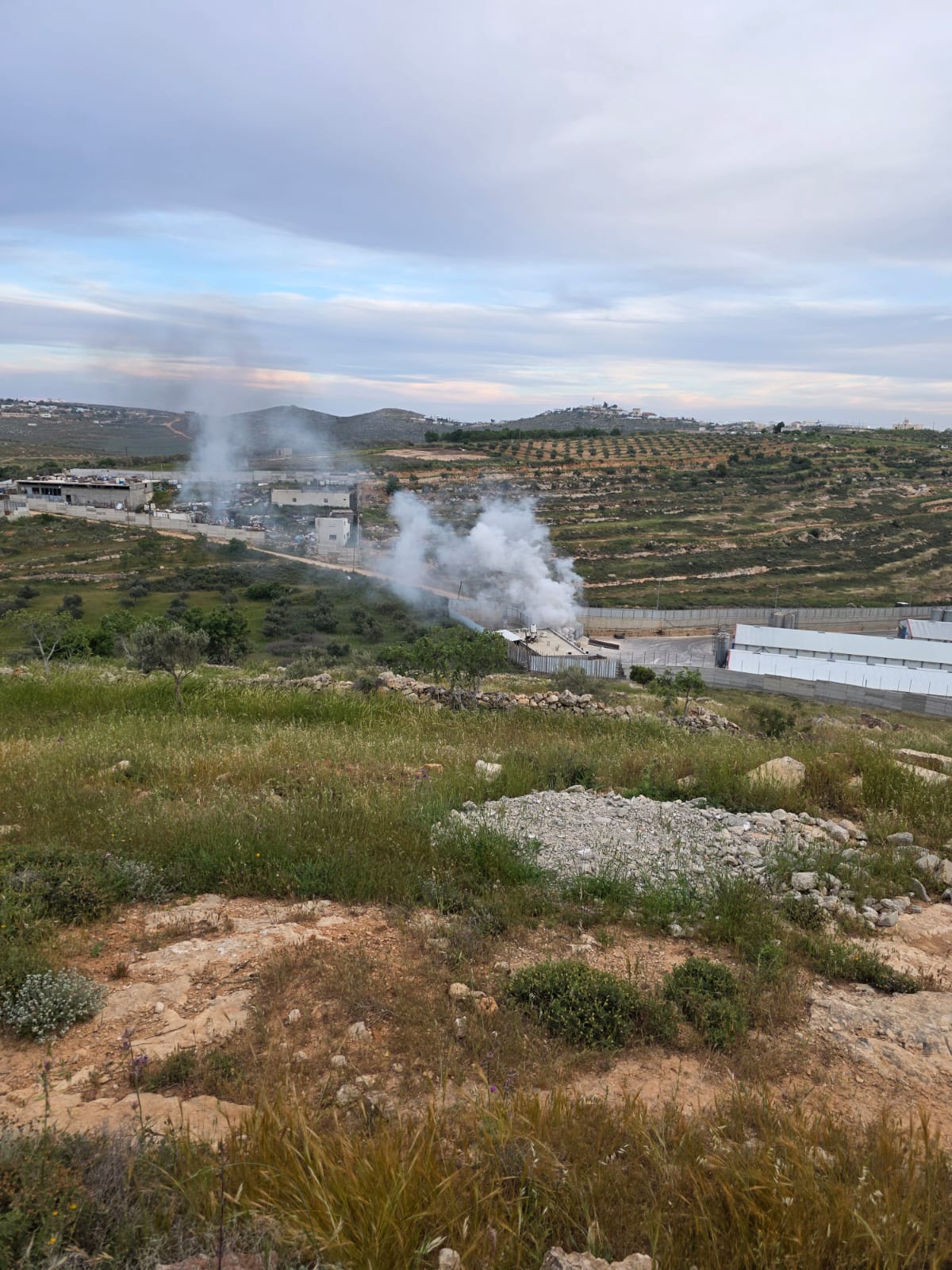 מתנחלים ירו אש חיה לעבר תושבים בבית סאחור