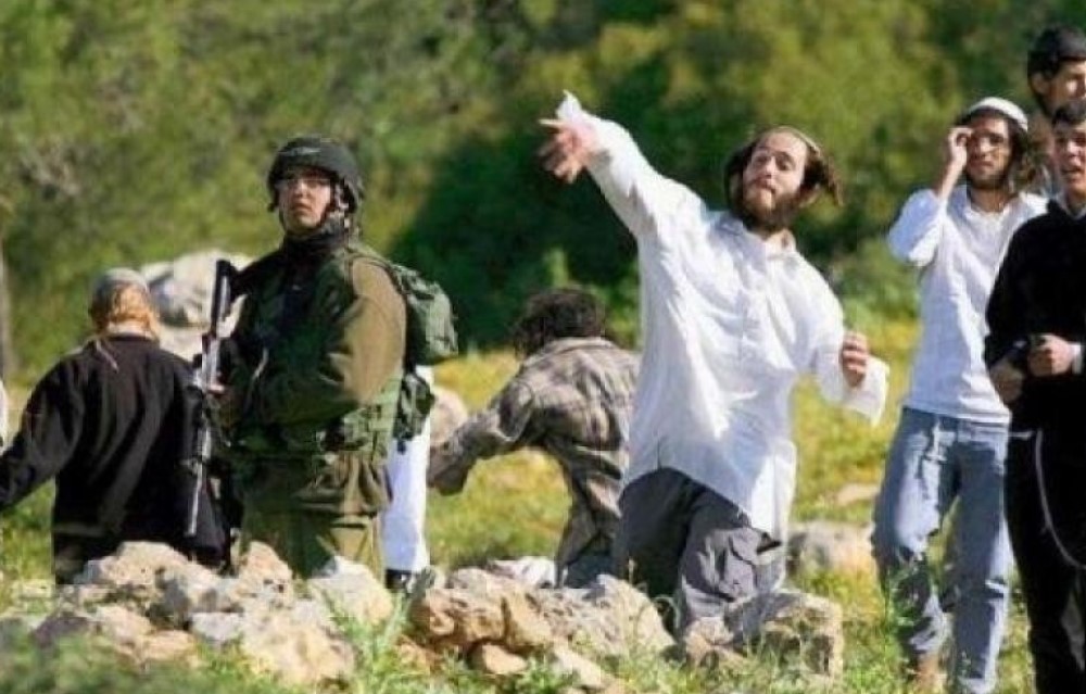 דו"ח: גובר הלחץ הבינלאומי בעקבות אלימות המתנחלים והרחבת ההתנחלויות