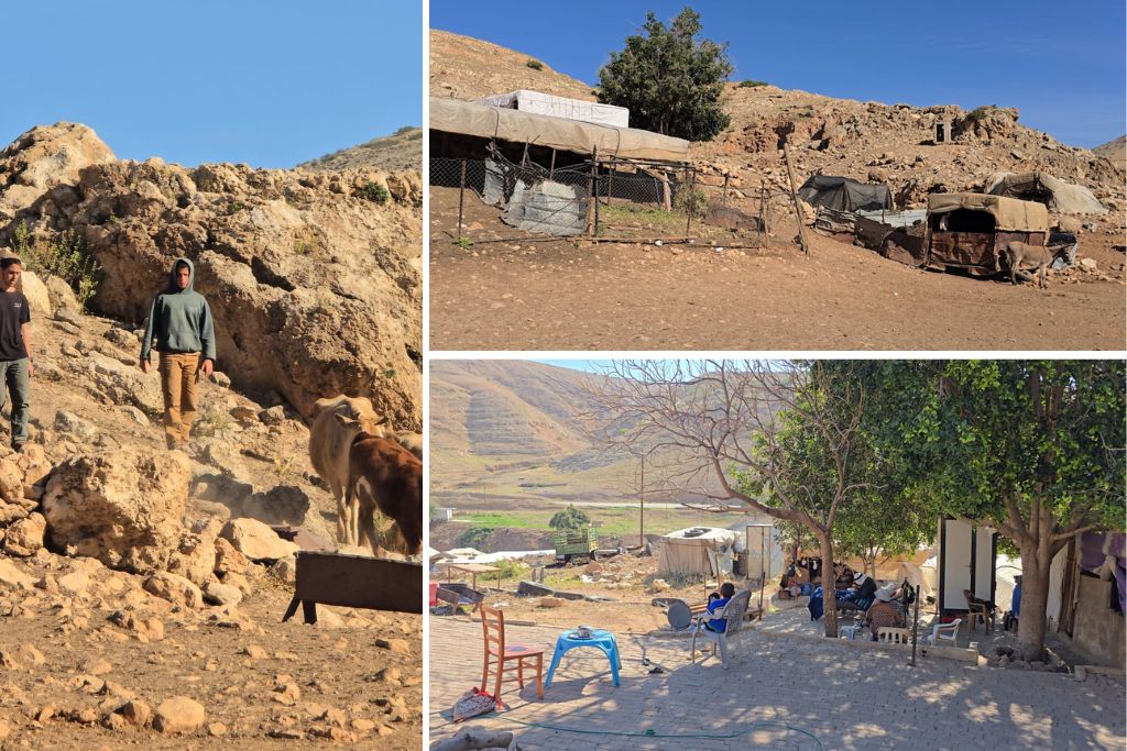 מה הקשר בין ארבע פרות להיעדר שטחי מרעה באל־עתמאוויה?