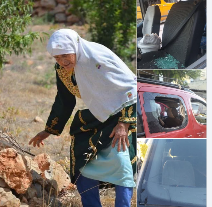 כוחות הכיבוש ומתנחלים תקפו פלסטינים בעת מסיק זיתים בדרום ובמזרח שכם