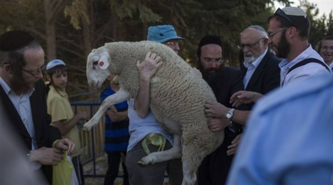 מתנחלים ניסו להיכנס לאל־אקצא עם בעל חיים שיועד להקרבה