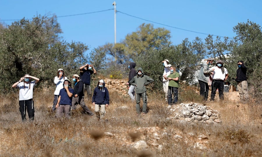 מתנחלים תקפו חקלאים במהלך מסיק הזיתים וגנבו יבול במחוזות רמאללה ושכם