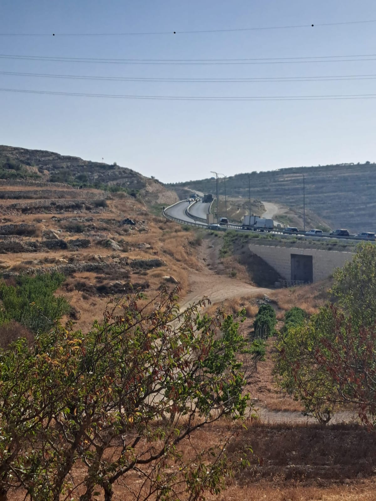 קשישה, ילד וצעיר נפצעו מתקיפת מתנחלים בחלחול שבצפון חברון