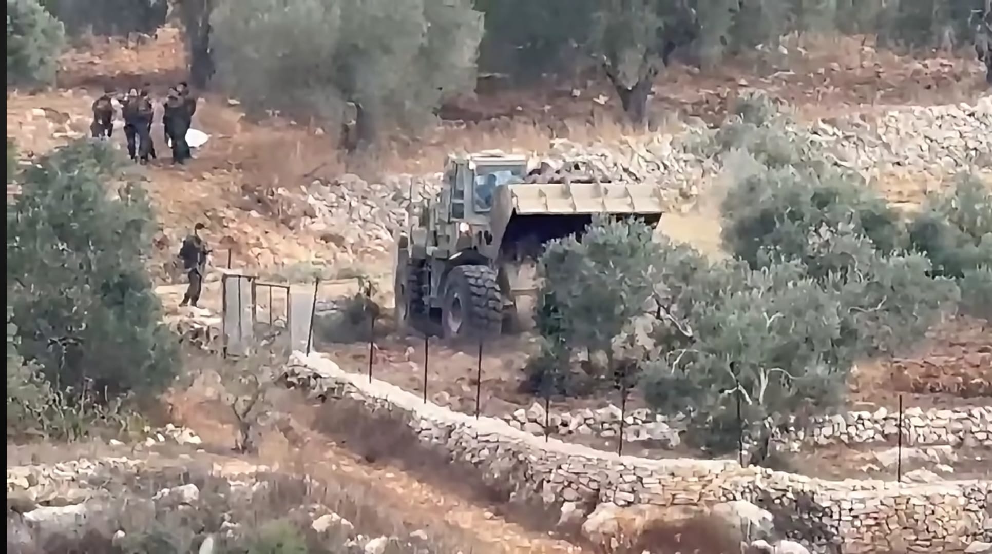 כוחות הכיבוש עקרו יותר מ־400 עצי זית בבית רימא