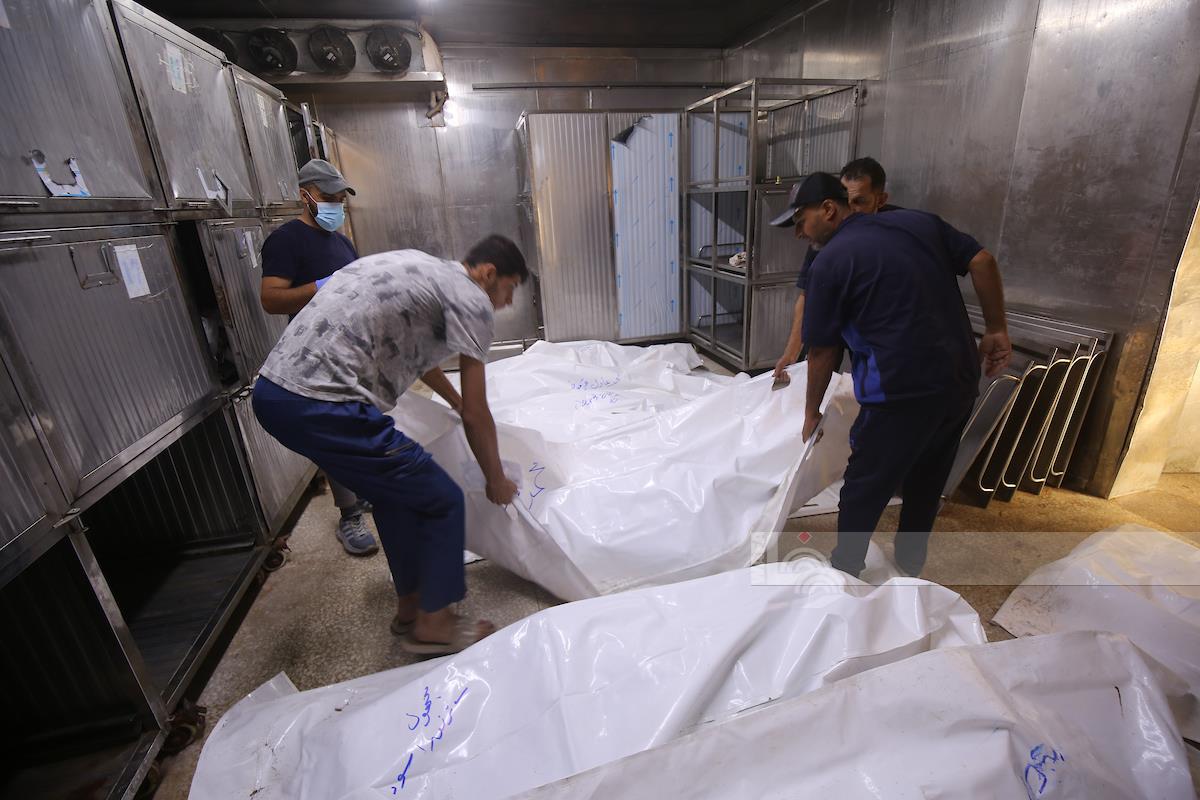 מניין ההרוגים ברצועת עזה עלה ל־56,412 והפצועים ל־133,054 מאז תחילת המתקפה