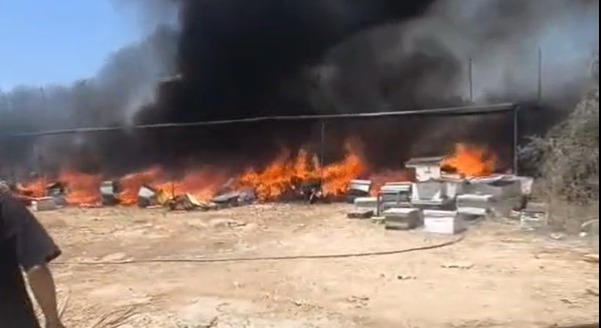 כוחות הכיבוש מנעו את כיבוי השריפה: כ־100 כוורות נשרפו מצפון לקלקיליה