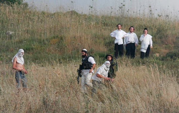 הרשות למאבק בגדר ובהתנחלויות: מתנחלים ביצעו לפחות 14 תקיפות מאז שבת בבוקר