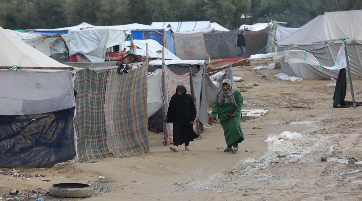 חולדה כרסמה את אצבעות רגליה של קשישה עקורה בעזה: "אני פוחדת לישון הלילה באוהל"