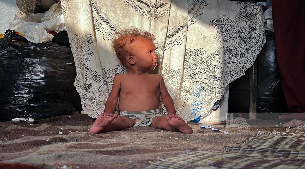 27 מדינות קראו להפסקת אש מיידית בעזה ולאפשר הכנסת סיוע הומניטרי ללא מגבלות