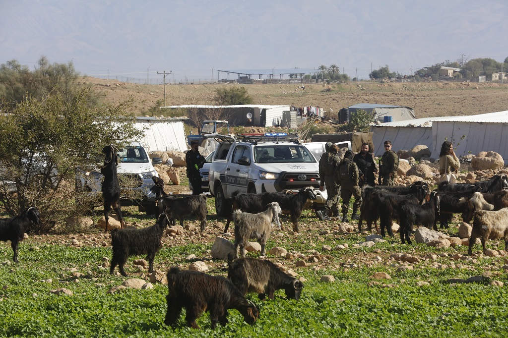 ראס עין אל־עוג׳א: כשהכבשים עושות את העבודה – גירוש בדואים משלאל אל־עוג׳א תחת לחץ מתנחלים