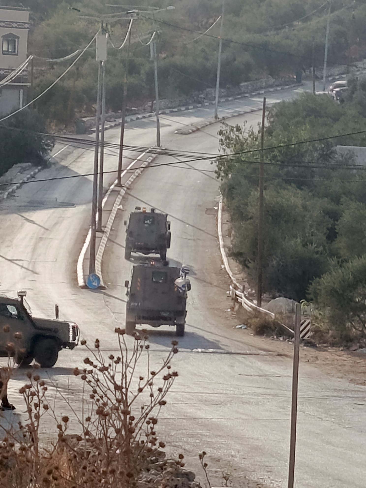 פצועות בתקיפת מתנחלים בדרום חברון: קשישה ושתי אקטיביסטיות זרות