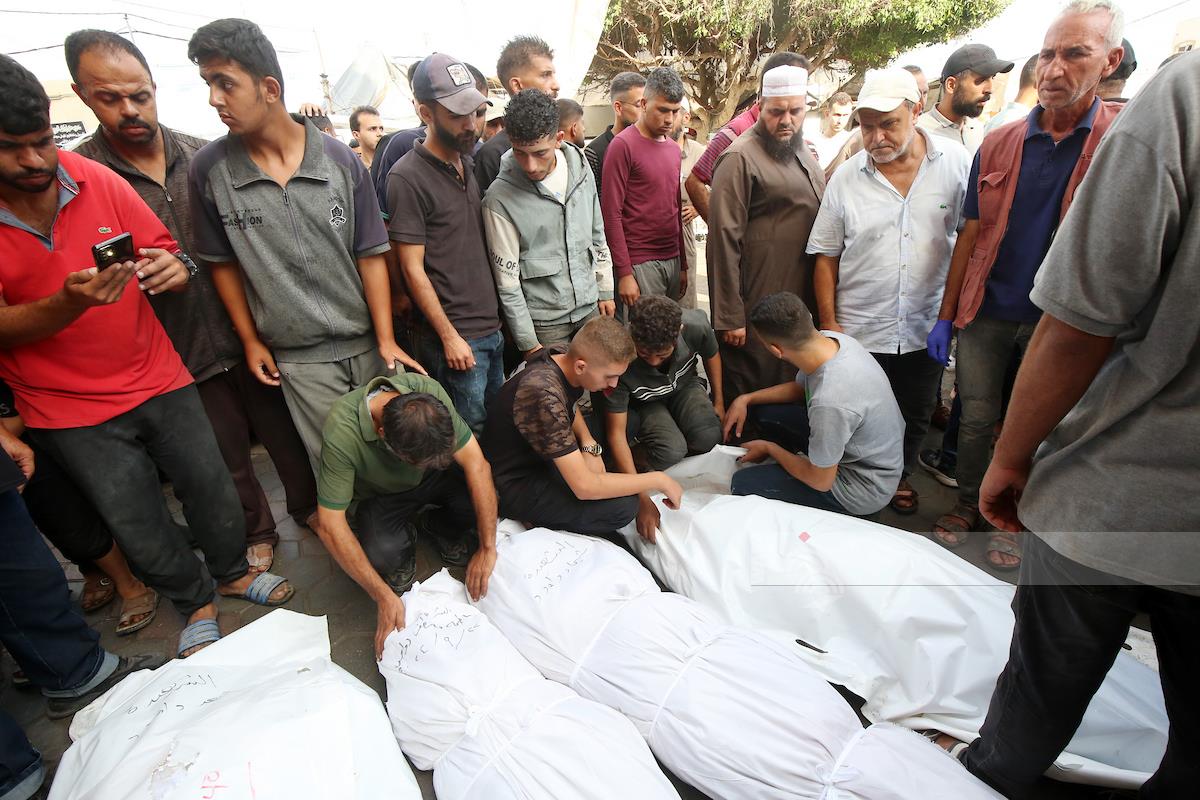 דרום אפריקה מגבירה את הלחץ הבינלאומי: ראיות חדשות לג'נוסייד יוגשו נגד ישראל בבית הדין בהאג