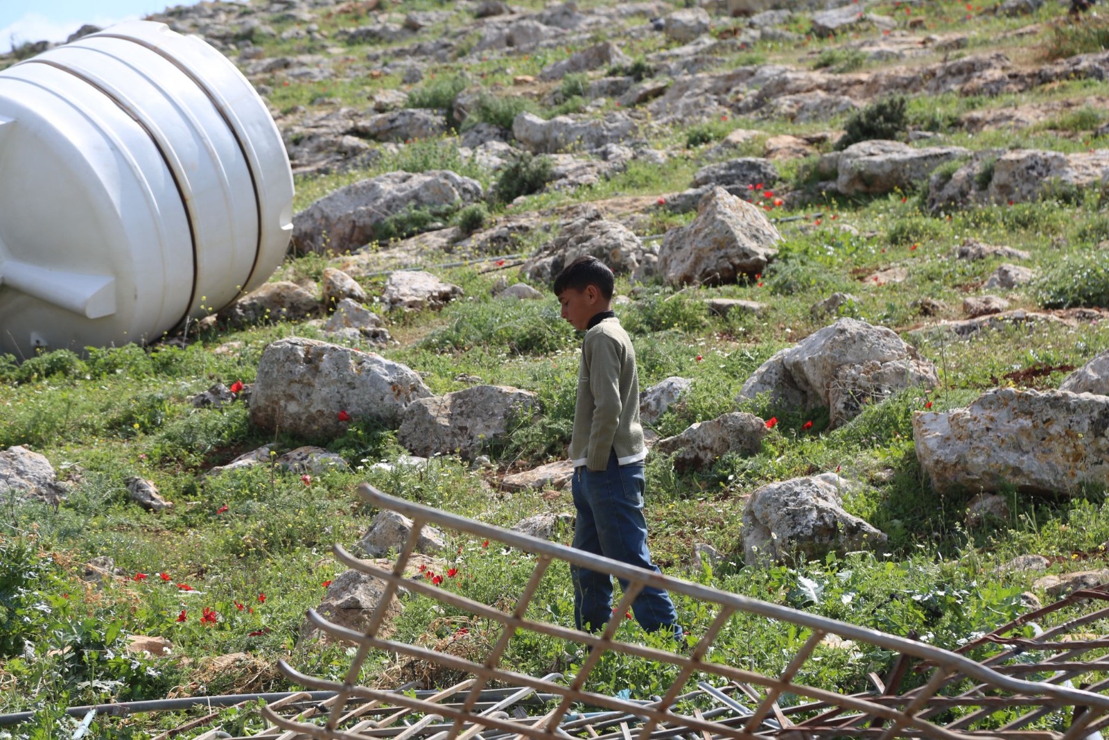 כוחות הכיבוש פועלים למחיקת הנוכחות הפלסטינית בבקעת הירדן הצפונית