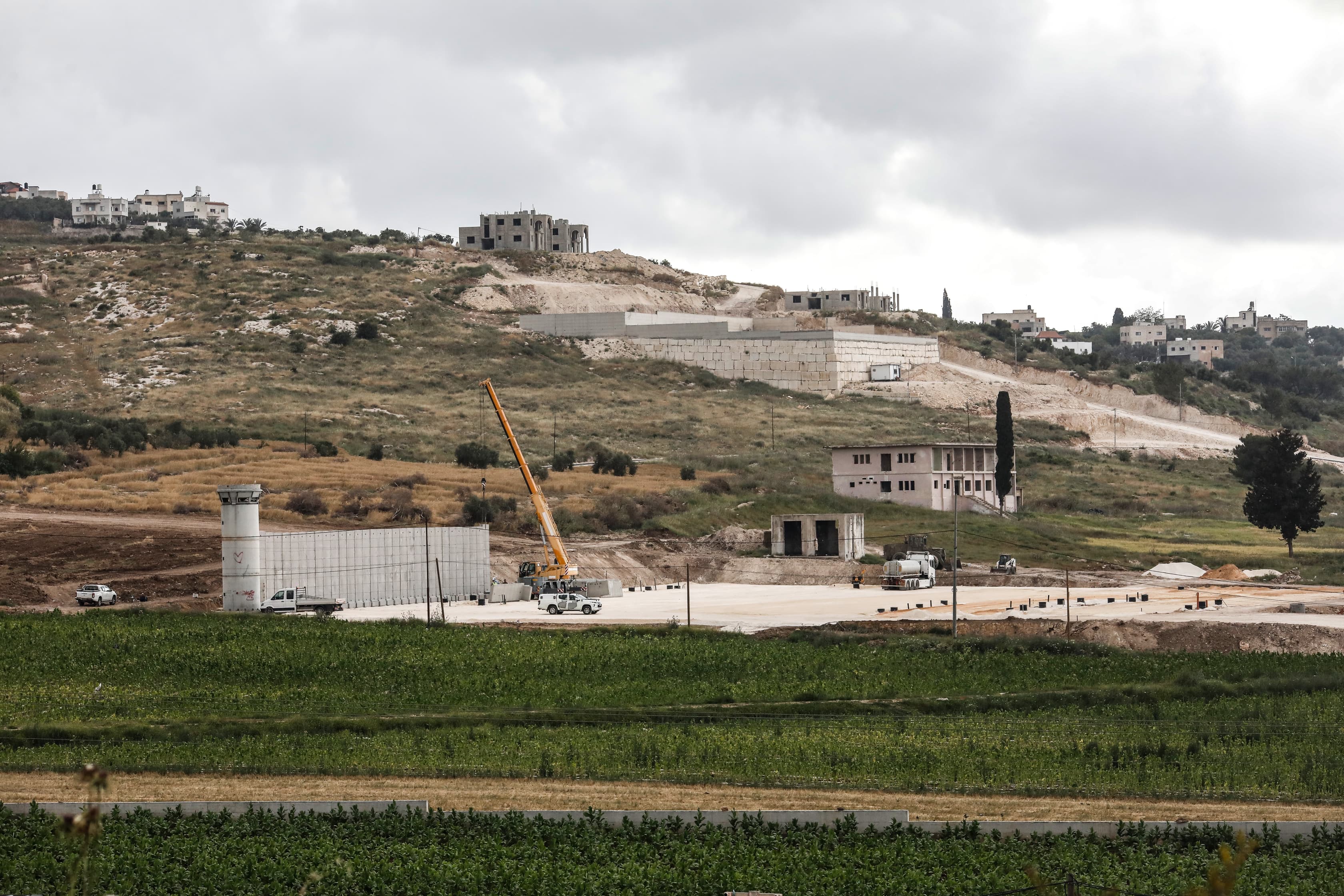 עראבה: הכרמים ועצי הזית מול התפשטות ההתנחלויות