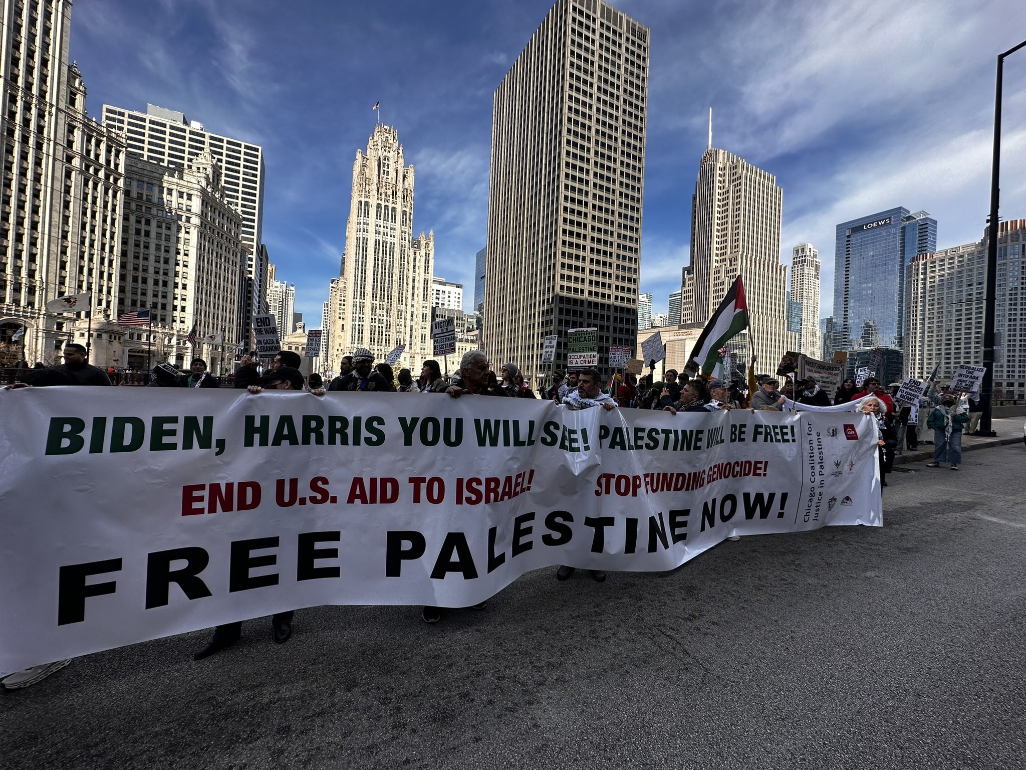 אלפי מפגינים בארה"ב קוראים לעצור את "ההשמדה ההמונית" בעזה לפני הבחירות