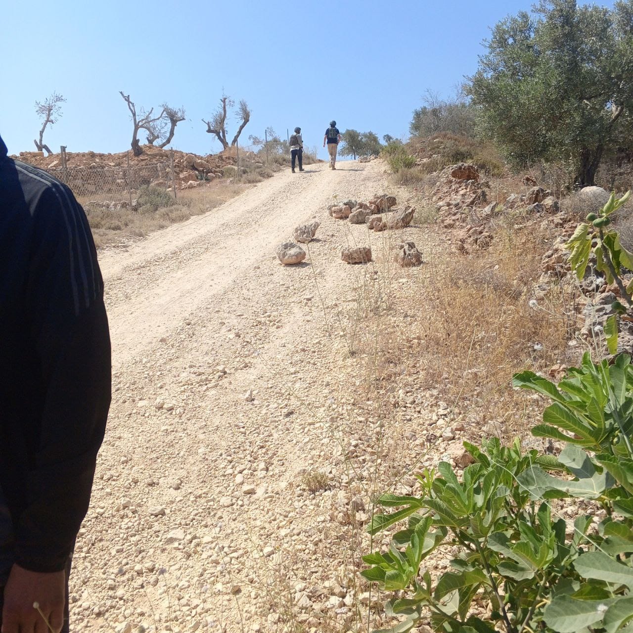 מתנחלים הציבו אוהל באוסרין: חשש להקמת מאחז חדש מדרום לשכם