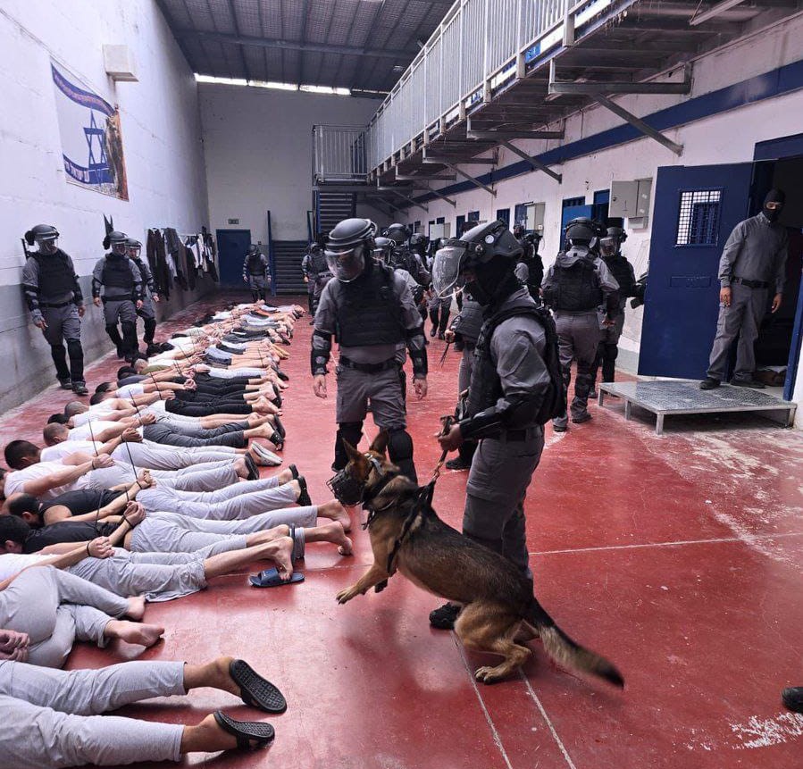 מועדון האסיר: "תיעוד העינויים הוא חלק קטן ממערכת ההתעללות השיטתית באסירים"