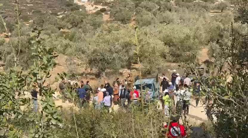 שלושה פצועים, בהם אקטיביסט זר, במתקפת מתנחלים על פלסטינים בעת מסיק הזיתים בתורמוסעיא