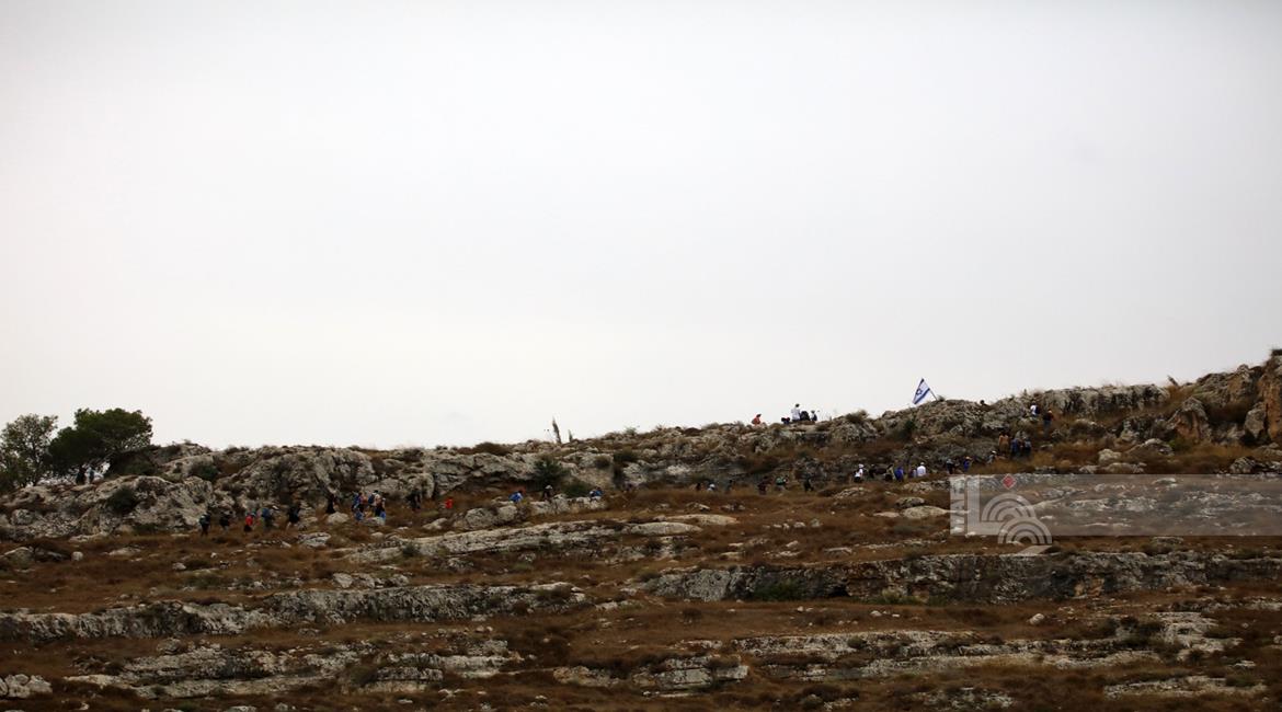 מתנחלים שחררו את עדריהם לשדות חקלאיים בבקעת הירדן