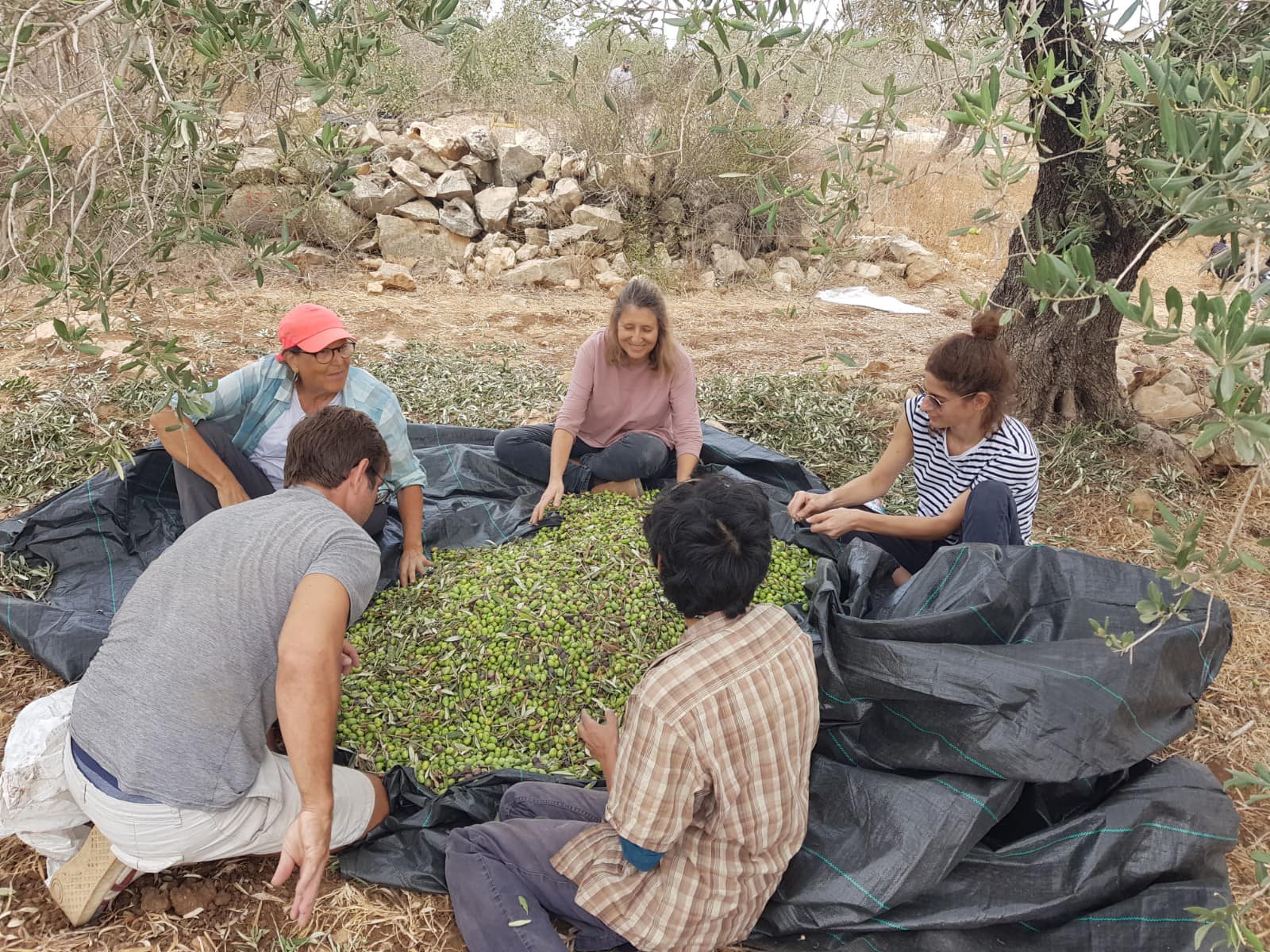 התחלנו, בחודש וחצי הקרוב אנחנו מוסקים. בואו אתנו