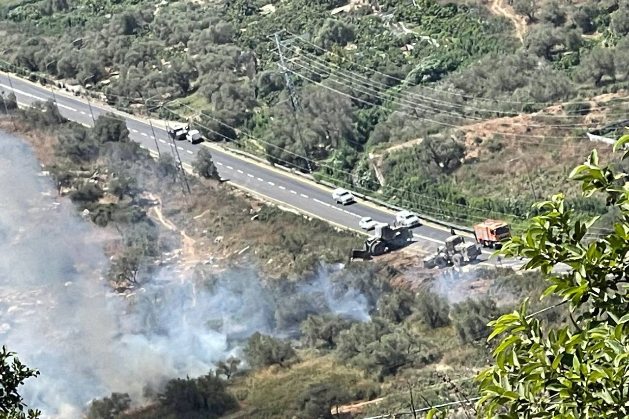 כוחות הכיבוש מנעו מחקלאים לטפל במטעי הזיתים שלהם מזרחית לטולכרם