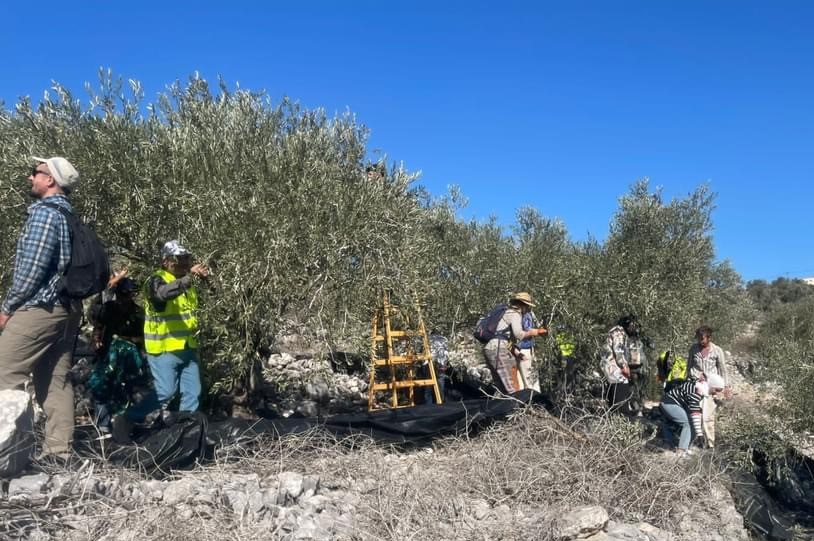התקפות כוחות הכיבוש והמתנחלים על חקלאים ומתנדבים במהלך מסיק הזיתים בבית ליד