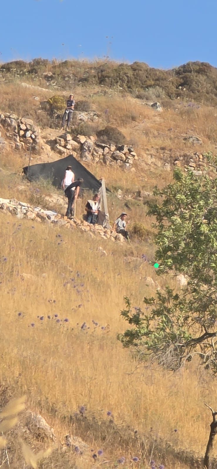 מתנחלים פשטו על אזור מפל העוג’ה בצפון יריחו ותקפו את רכוש התושבים