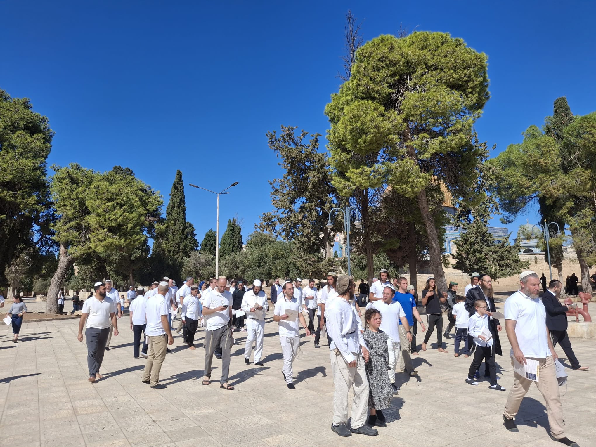 1,143 מתנחלים פלשו למסגד אל־אקצא בליווי משטרת הכיבוש