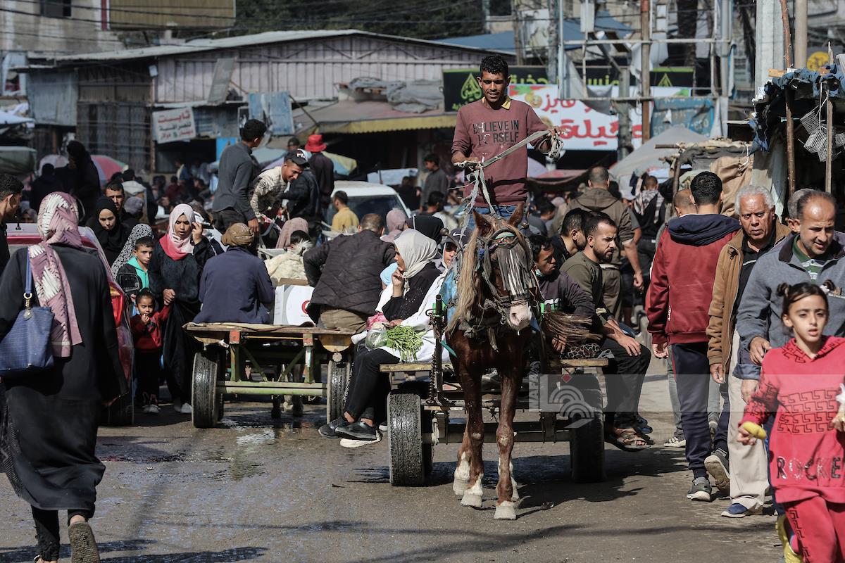 התוק-תוק: כלי התחבורה המרכזי של עזה בצל המצור