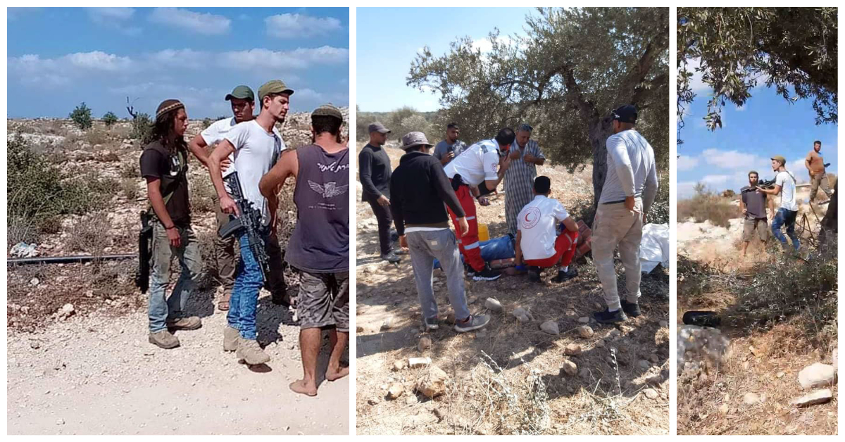 מתנחלים תקפו פלסטינים בעת מסיק הזיתים מדרום לשכם וגנבו את היבול