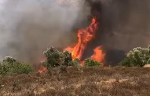 מתנחלים הציתו שריפות באדמות חקלאיות סמוך ליברוד, מזרח רמאללה