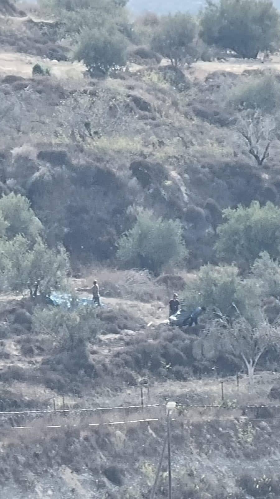 טרוריסטים גונבים זיתים בסבסטיה