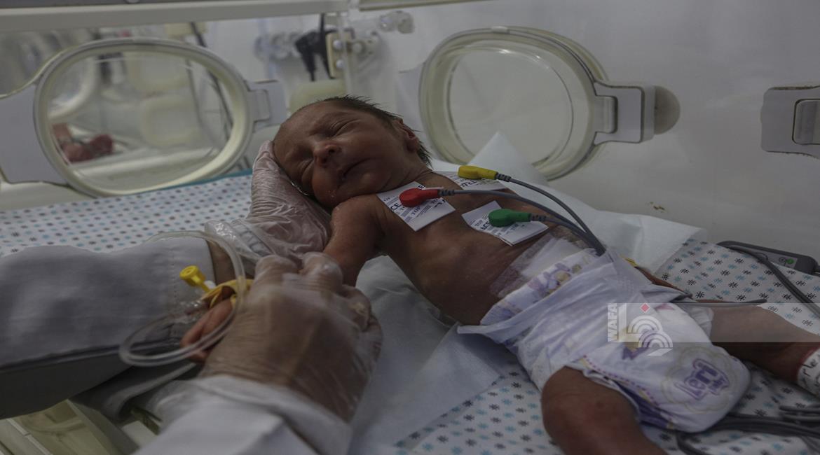 הקור הקיצוני טורף את ילדי עזה