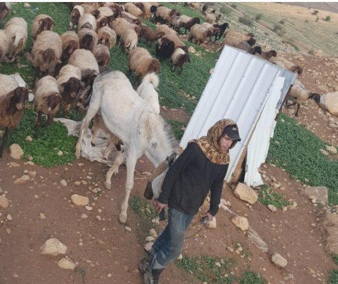 מתנחלים פשטו על קהילת הבדואים שלאל אל־עוג׳א מצפון ליריחו