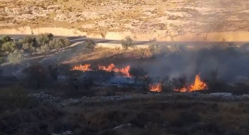 מתנחלים הציתו אדמות חקלאיות בסעיר שבצפון־מזרח חברון