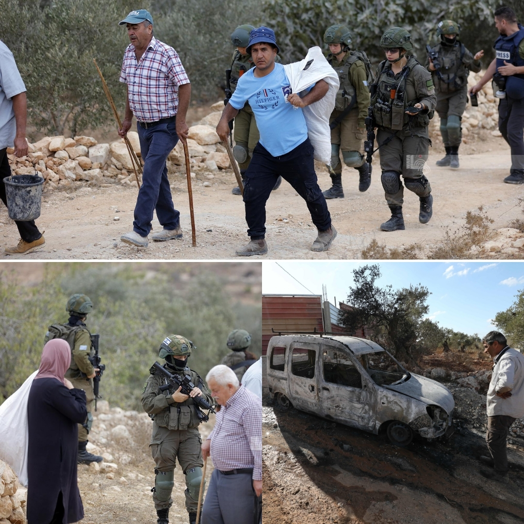 פתיחת עונת המסיק – תחת אש