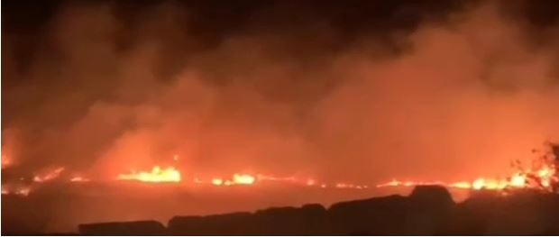 מתנחלים תקפו תושבים והציתו אדמות חקלאיות באל־מסעודיה שמצפון־מערב לשכם