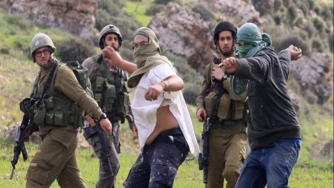 כוחות הכיבוש אילצו מוסקי זיתים לעזוב את אדמותיהם באל-מוע'יר