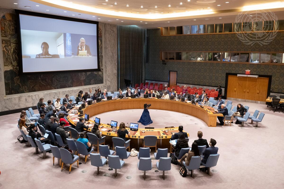 מועצת הביטחון של האו"ם: קריאות להפסקת אש בעזה ואזהרות מפני אסון בריאותי