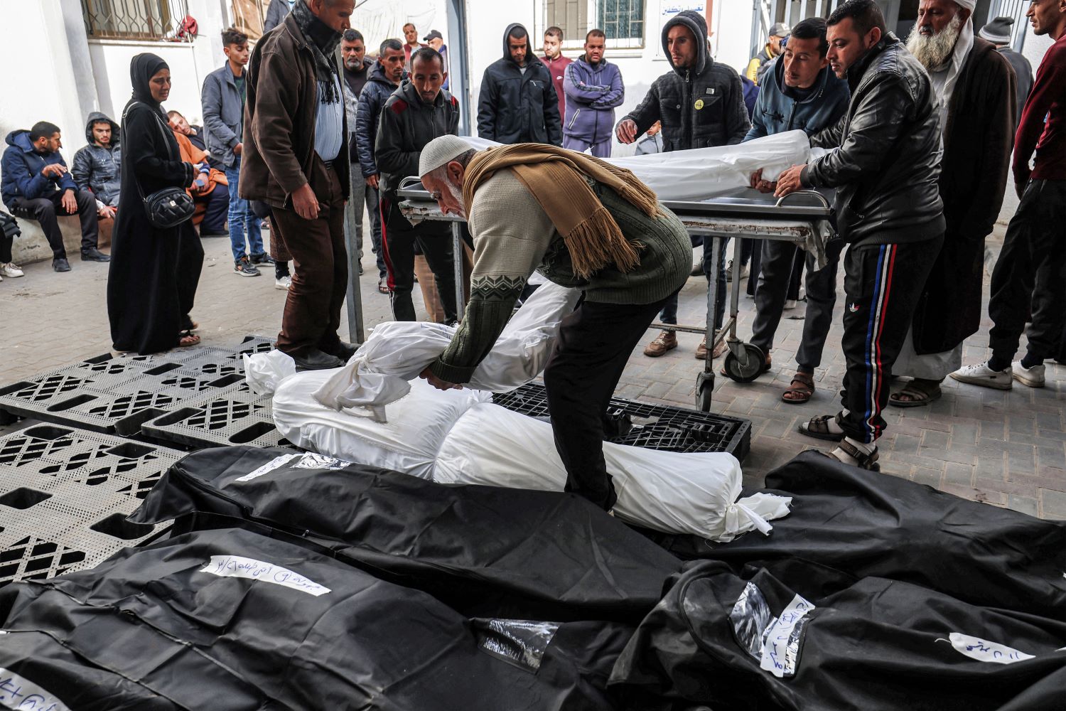 עזה: מספר הקורבנות עלה ל 36479 ויותר מ 82777 פצועים