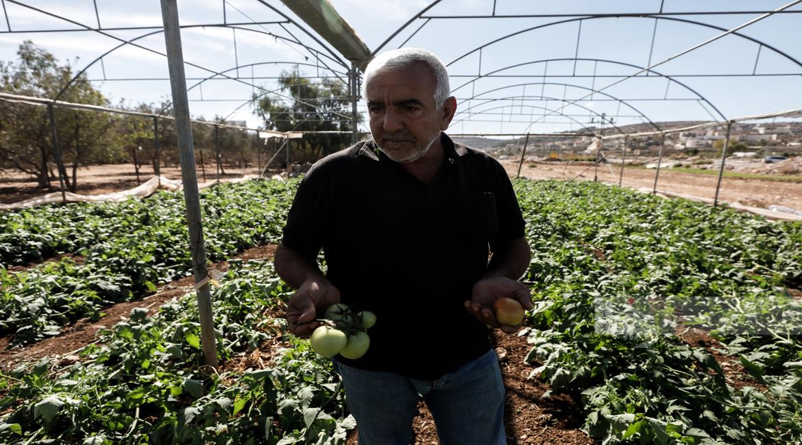החקלאים ממזרח לג'נין איבדו את העבודה בישראל. כעת גם החממות שלהם בסכנת הריסה