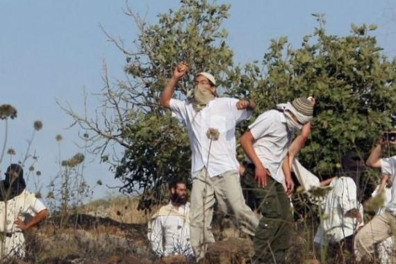 מתנחלים תקפו תלמידים וחקלאים בגדה, הציתו רכב וגנבו זיתים וציוד מסיק
