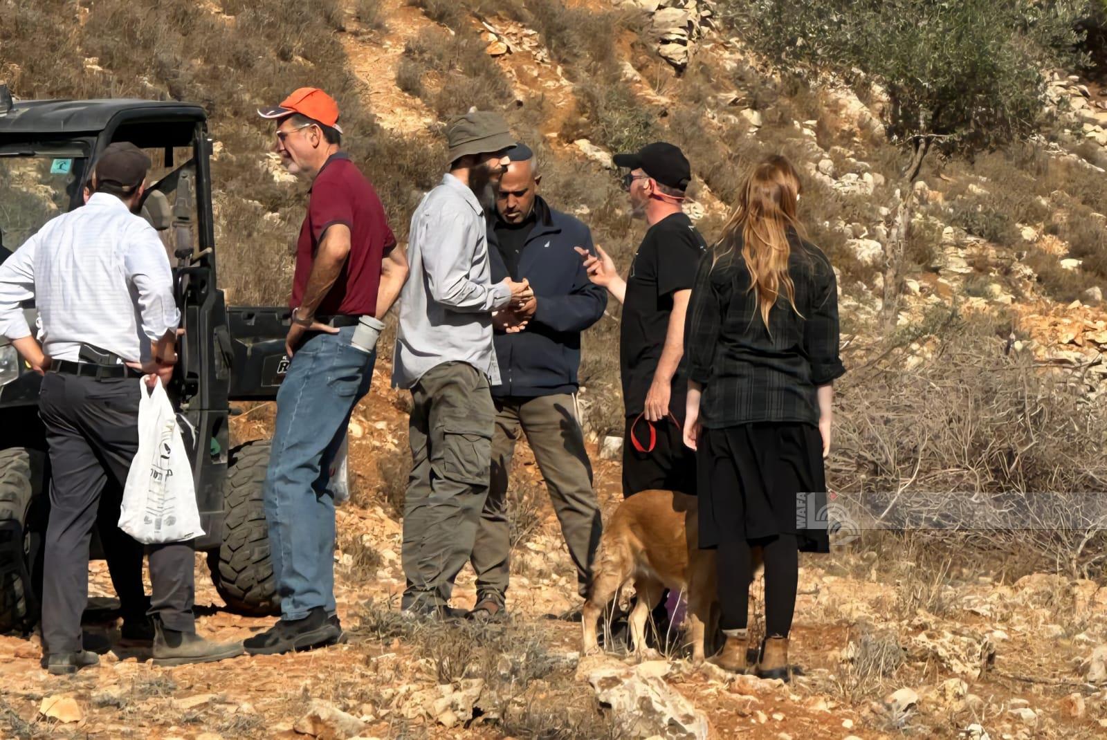 דוח: פשעי המתנחלים וארגוני הטרור מגיעים לשיא בעונת מסיק הזיתים
