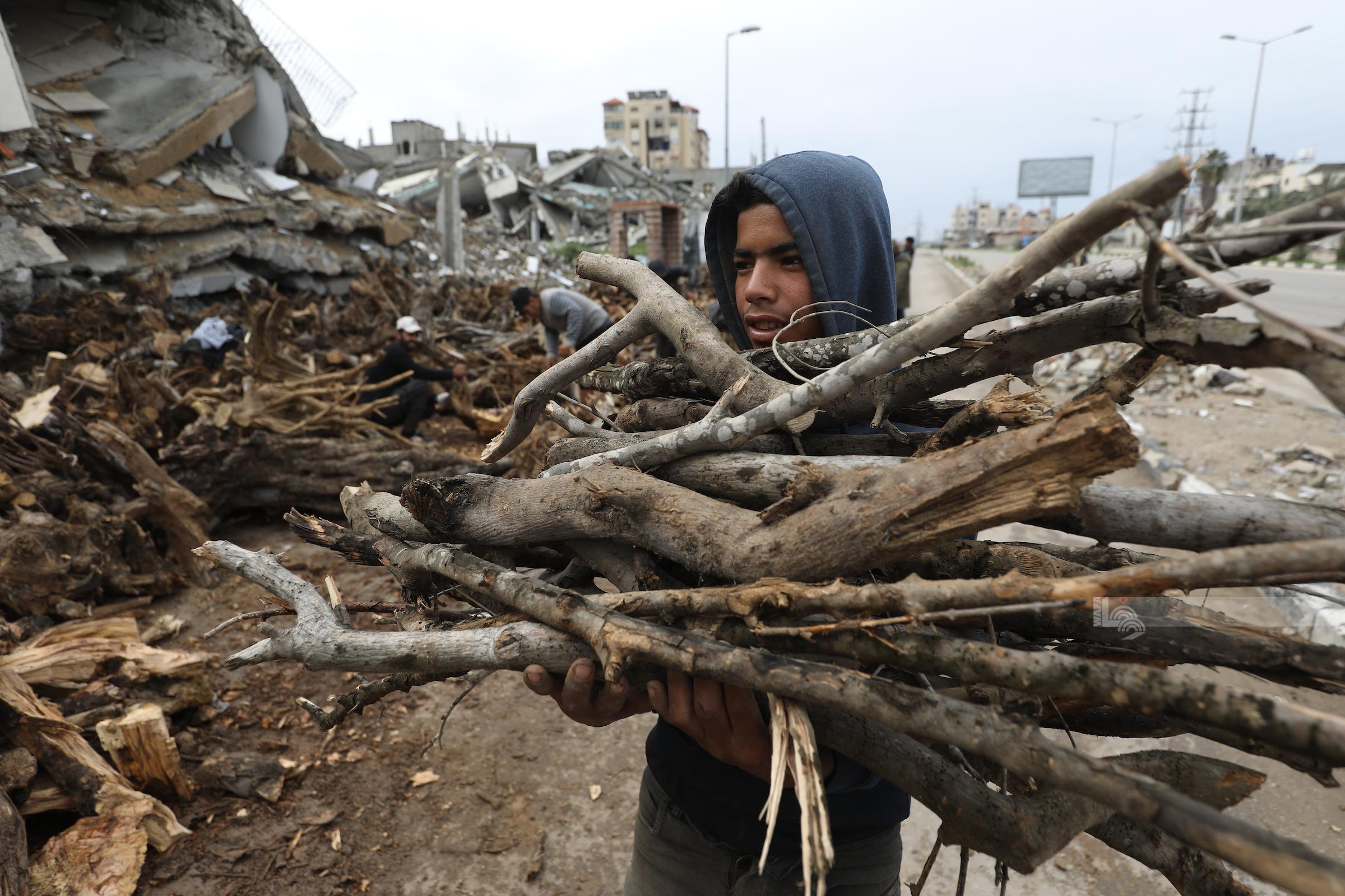עזה שורדת: כשהמלוחיה הופכת לסיגריות והפלאפל בוער מעצים – והמחירים משתוללים